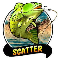 Scatter